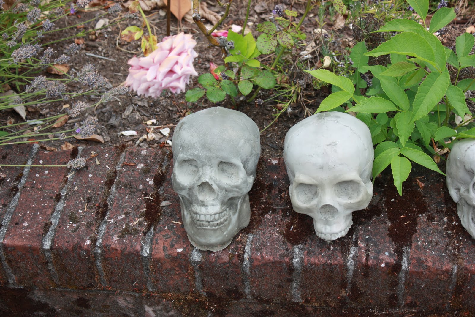 The Davis House: Cement Skulls