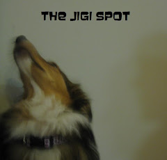 Jigi spot