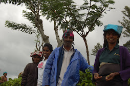 sharmini,estate kangani and workers