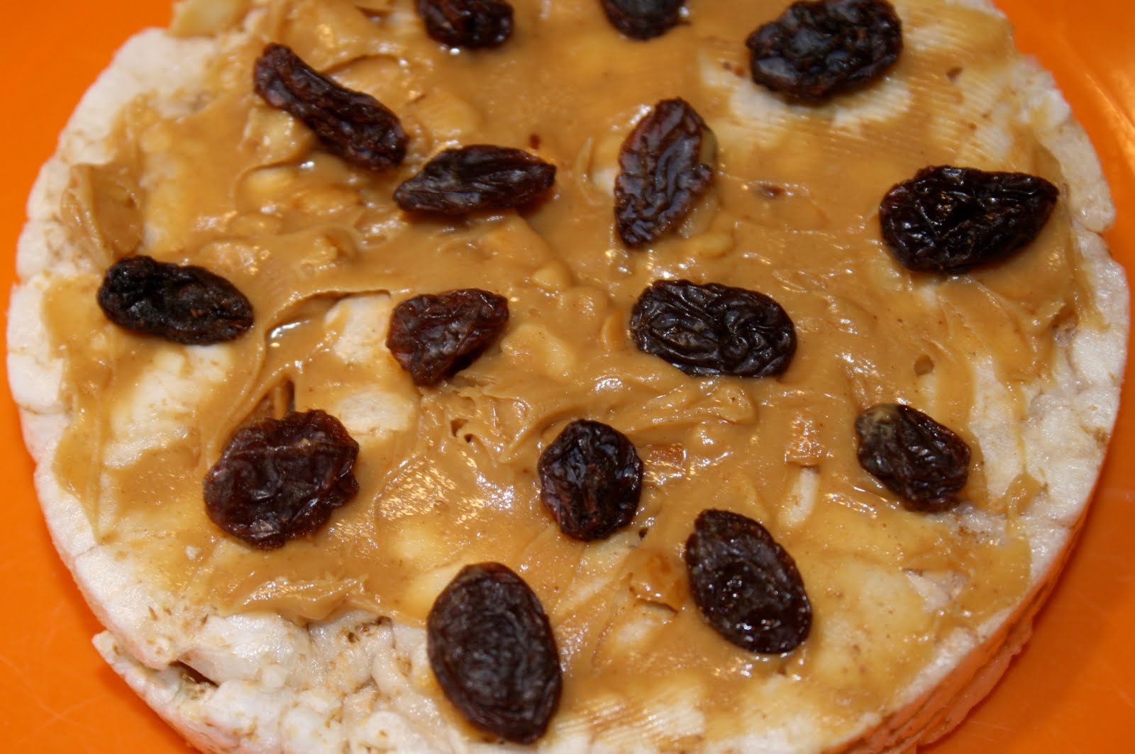 Lucy's Soup Can Rice cakes with Raisins