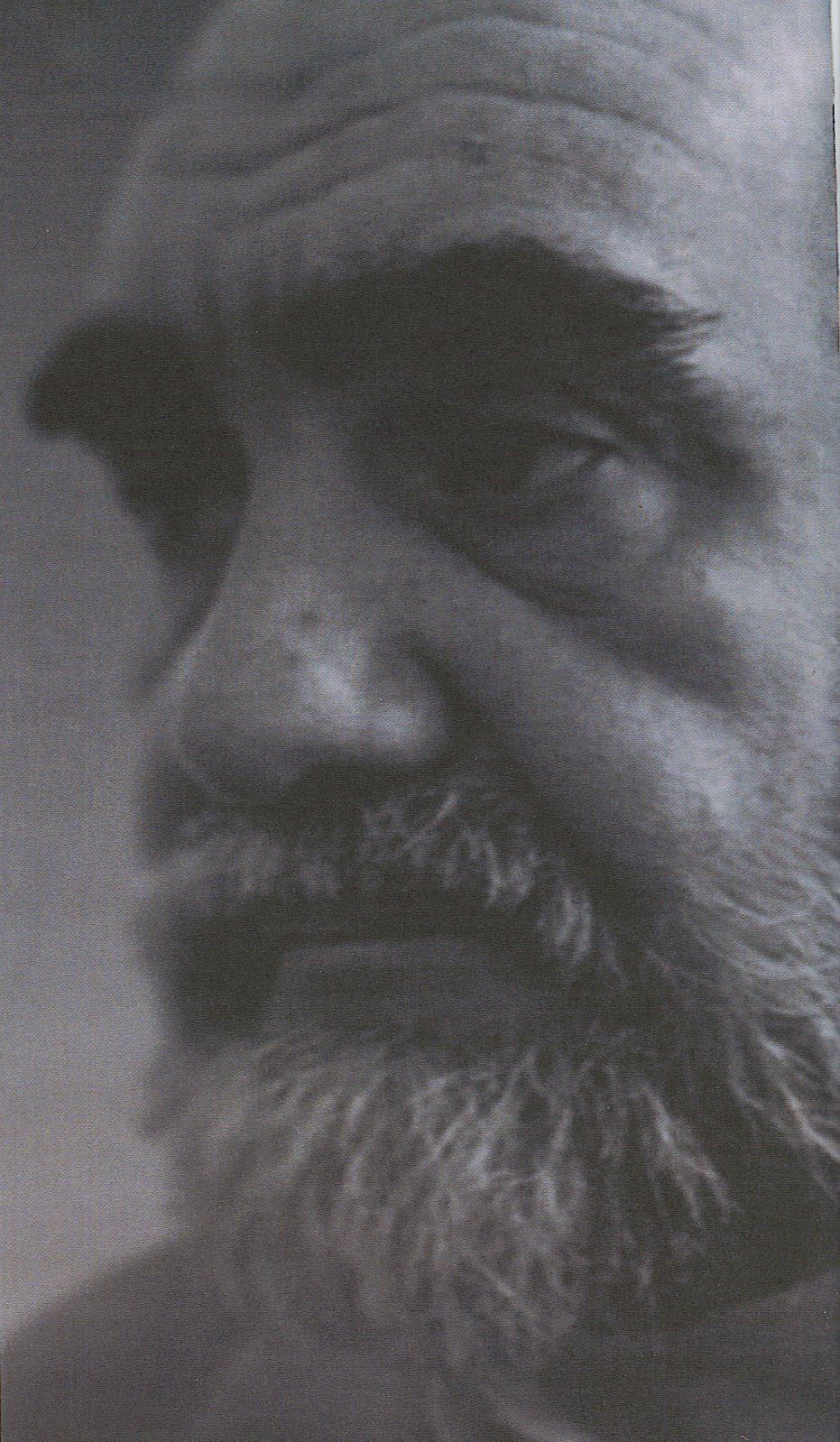 [herberto+helder.jpg]