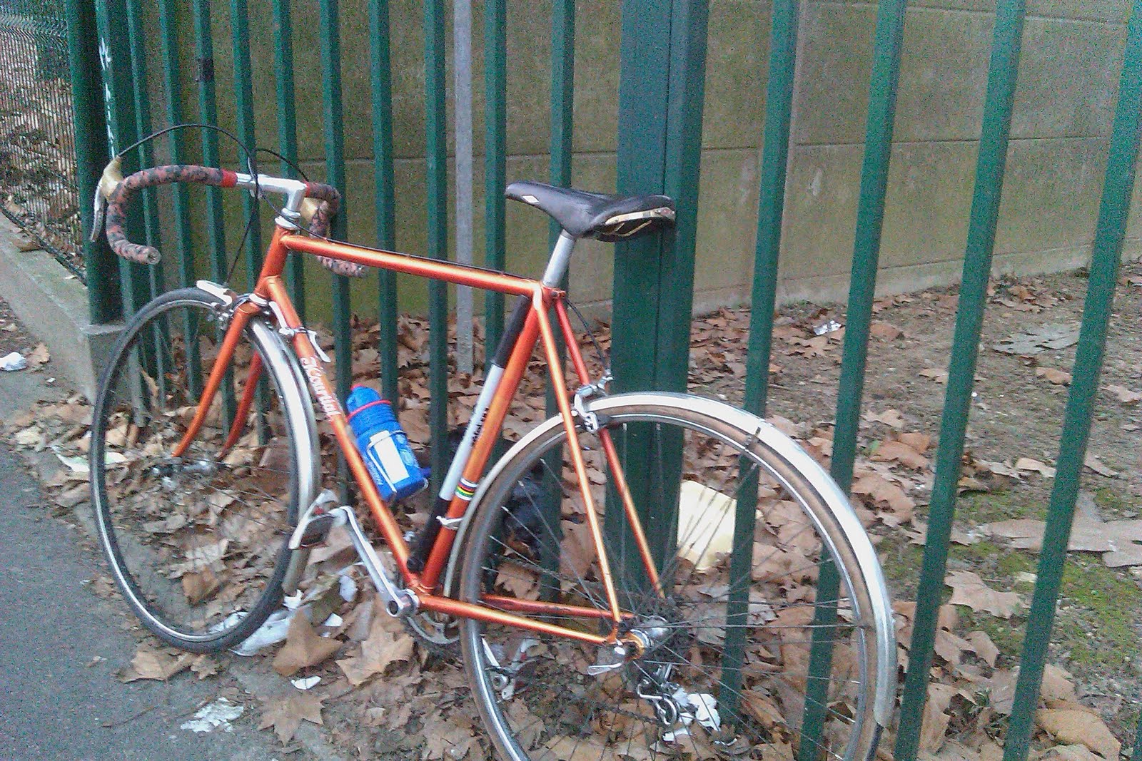 Melina Velba Images Bulletin Board