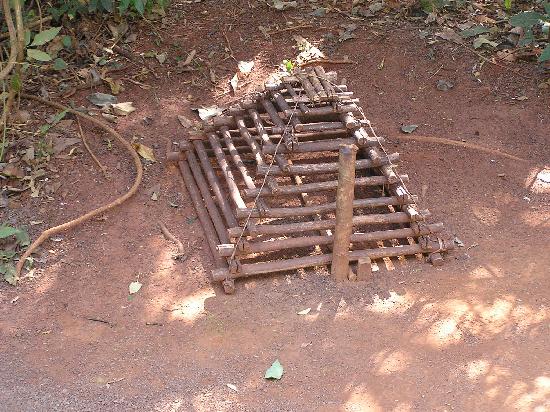 4to D Ciencias Naturales La Salle La Aripuca