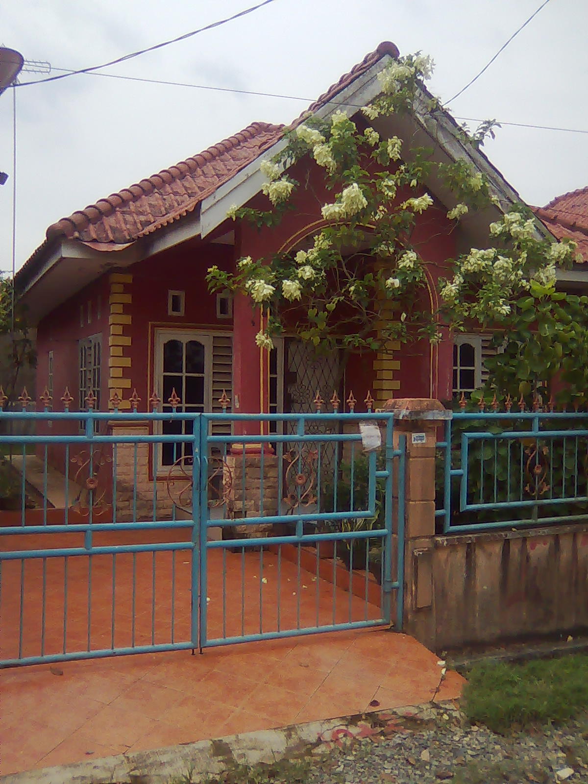 HONGKONG MIGRAN Rekomendasi Property Murah TKI Investasi Rumah Di