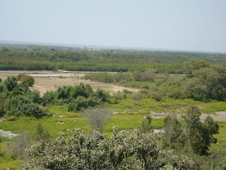 I.E 15205 La PalmaPiura Visita mi I.E 15205 La PalmaPiura y