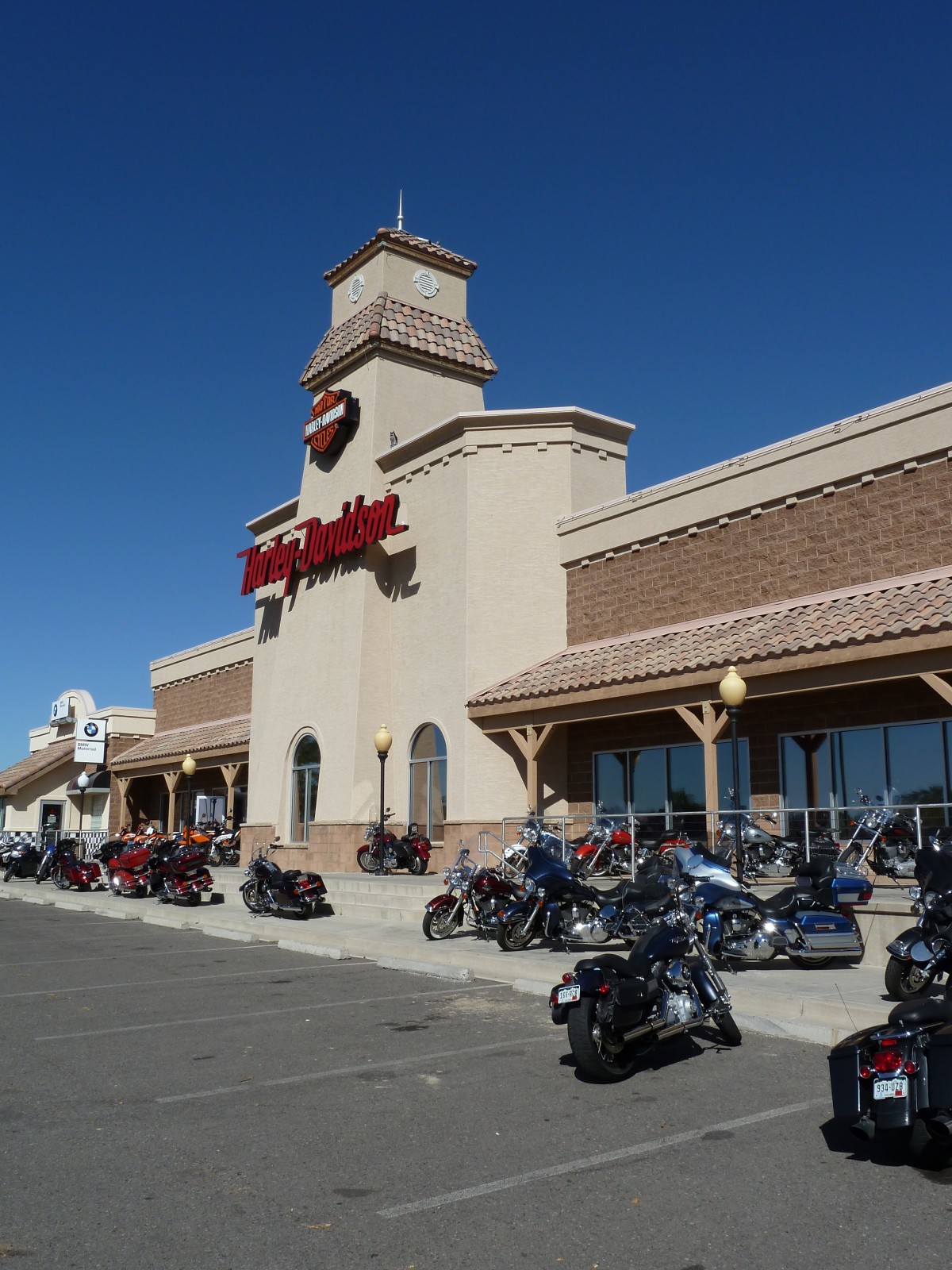 Flies in your Teeth Grand Junction HarleyDavidson
