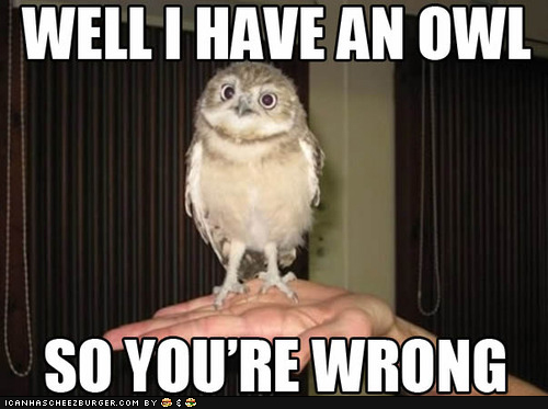 funny-pictures-owl-wrong.jpg