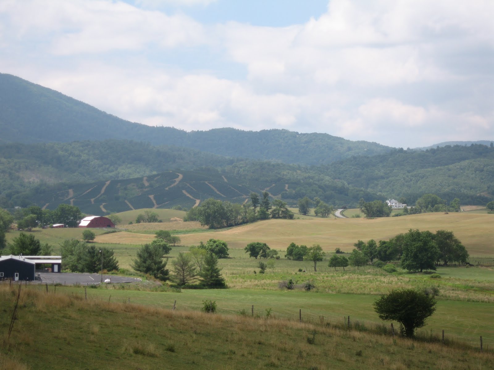 Modern Mountain Home to Elk Creek, VA