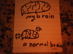 My Brain