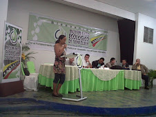 I Directorio Político Nacional 2010