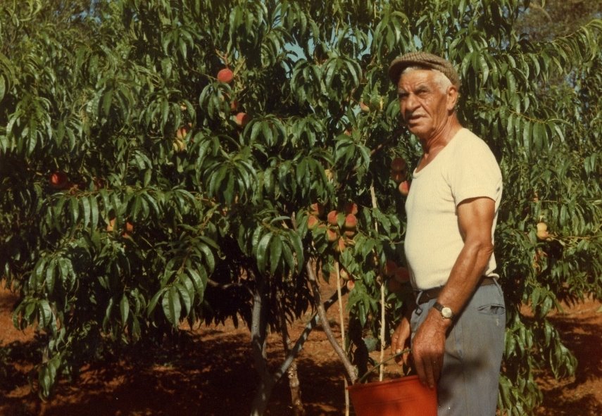 [1983+papÃƒ +d.jpg]
