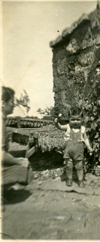 [0009c++Alfredo+a+1+anno+1950.jpg]