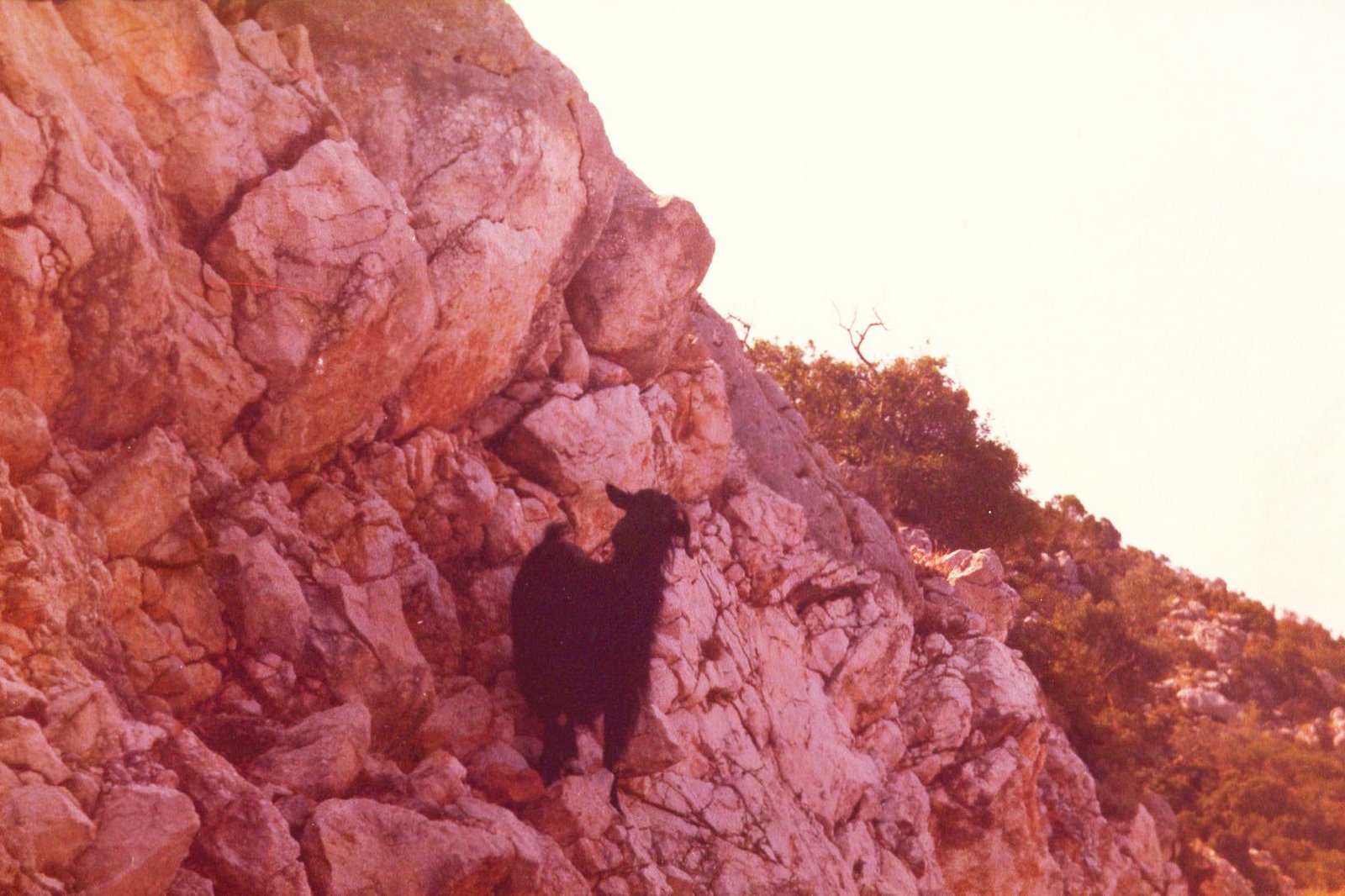 [Copia+di+itaca+19790032.jpg]