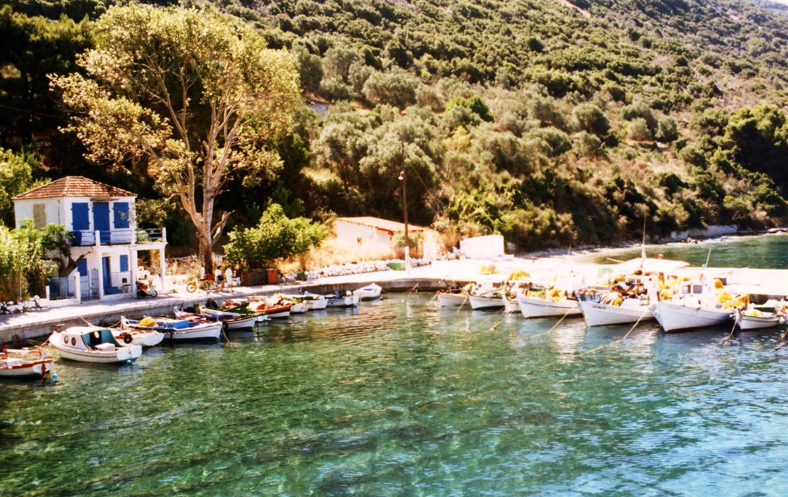 [itaca+19890047.jpg]