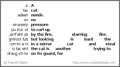 Cat Poem