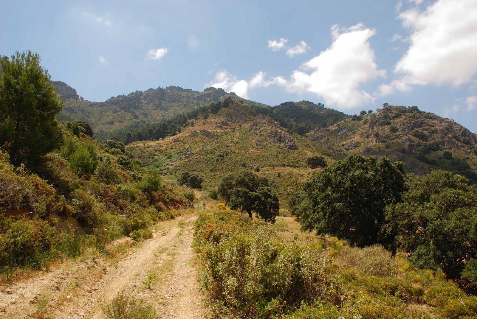 Senderismo por la Montaña Penibética Ascenso a la Sierra de la