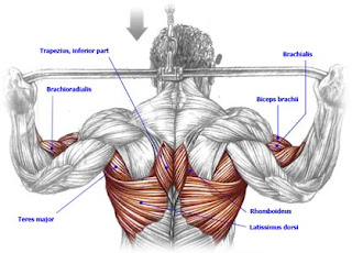 One Arm Pulldown