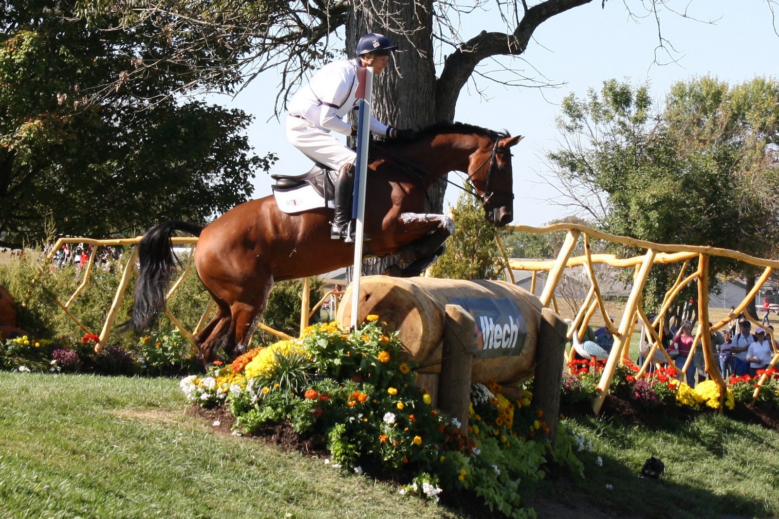 World Equestrian Games 2010 GBR Cross Country Jump 5