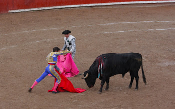 The real Matador