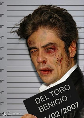 Del Toro, Photoshopped Celebrity Mugshots