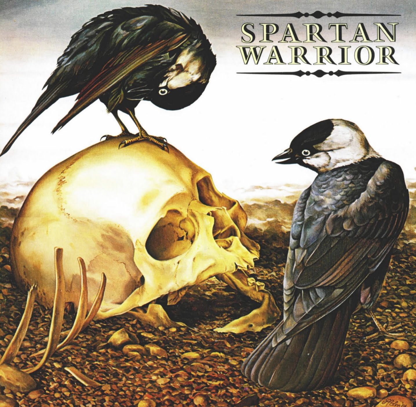 Spartan warrior