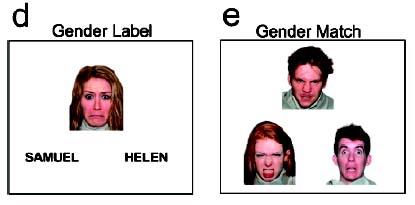 [gender+label_gender+match.jpg]
