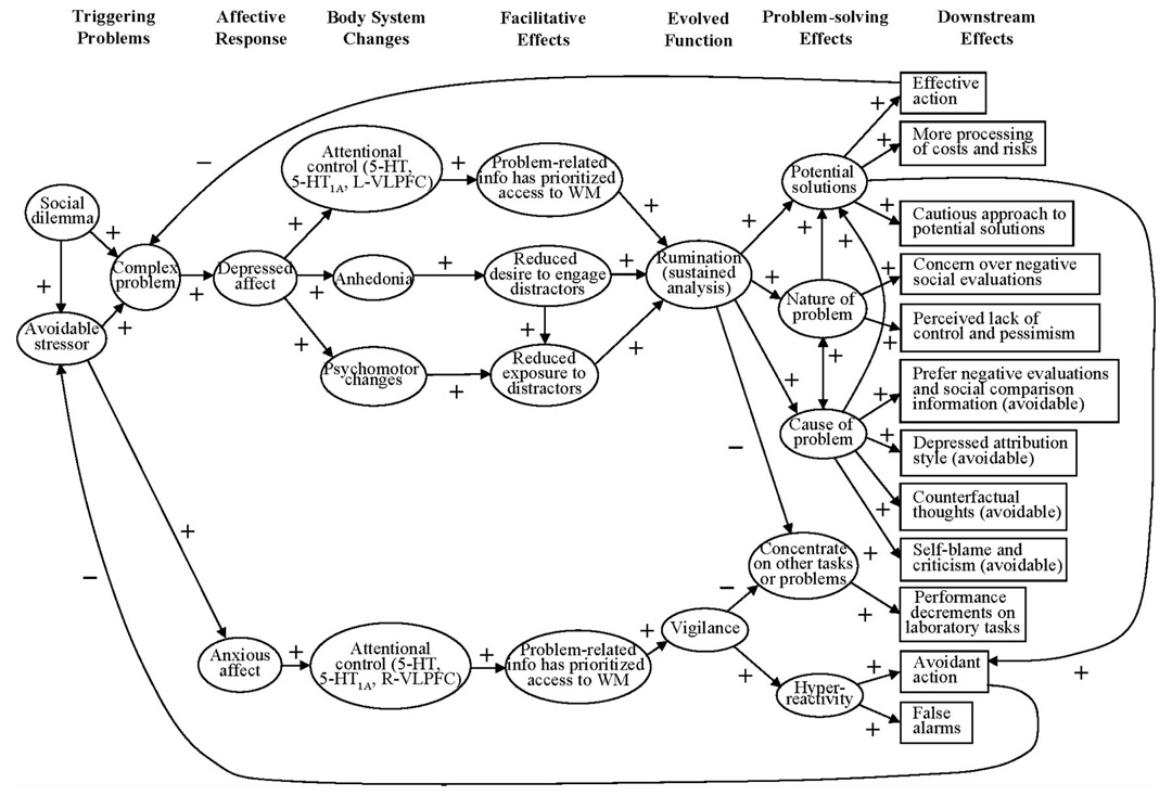 [analytical+rumination+hypothesis.jpg]