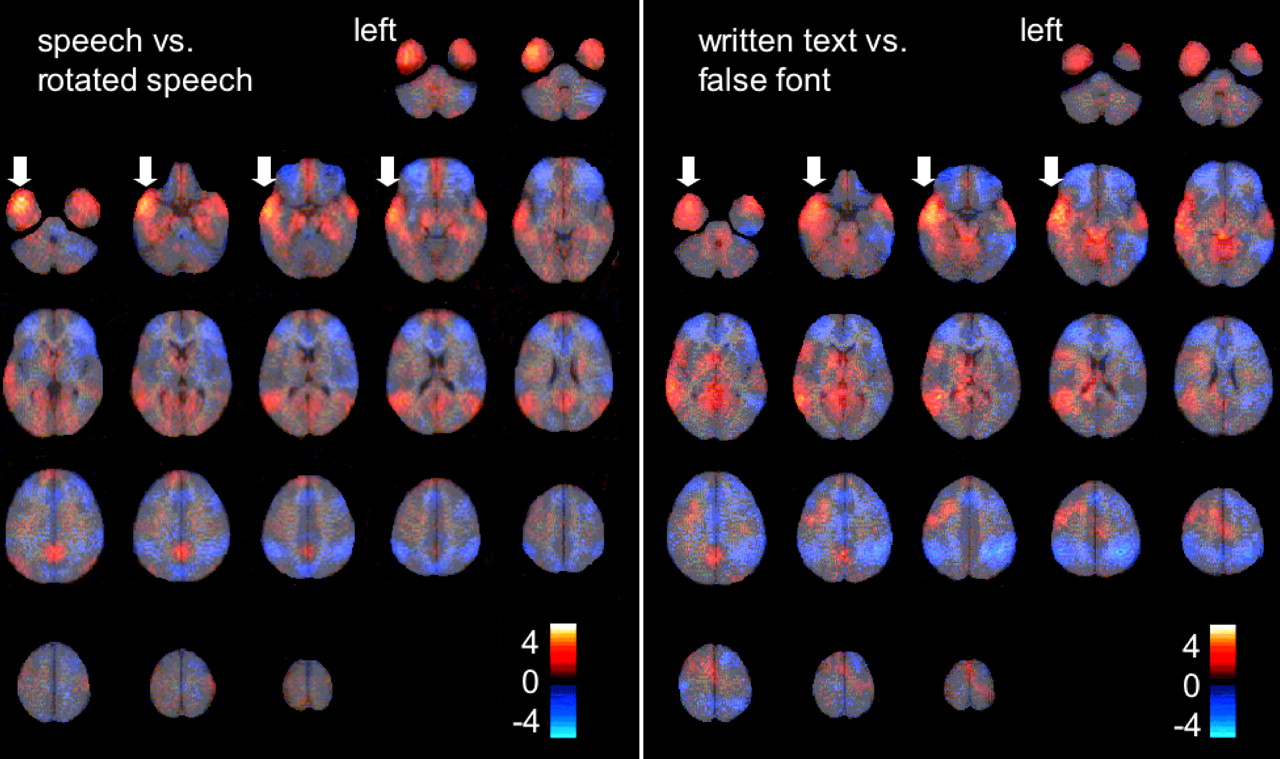[converging+language+streams_fig1.jpg]