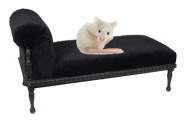 [mouse+on+couch.jpg]