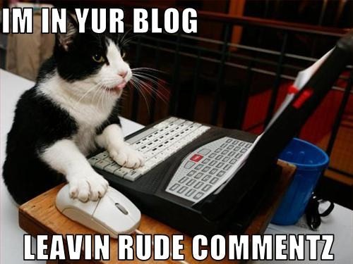 [lolcat_blog_comments.jpg]