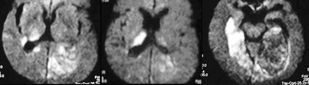 [Dide–Botcazo_Fig2.jpg]