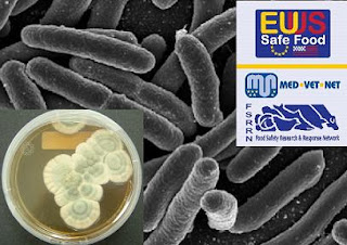 Las bacterias resistentes salen de los hospitales