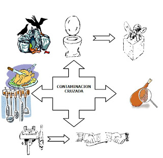  alimento contaminado 