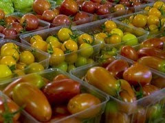  Tomates de agua salada 