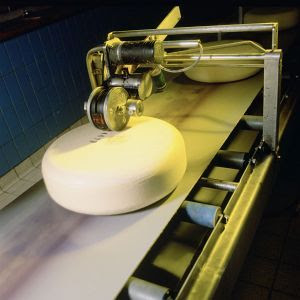  ELABORACION del queso  