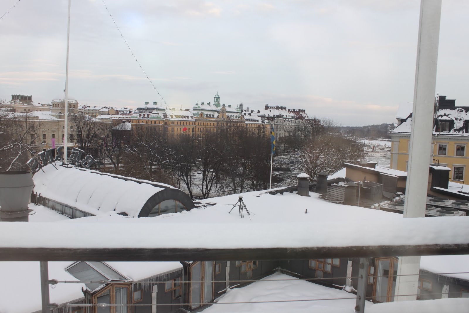 [IMG_0064.JPG]