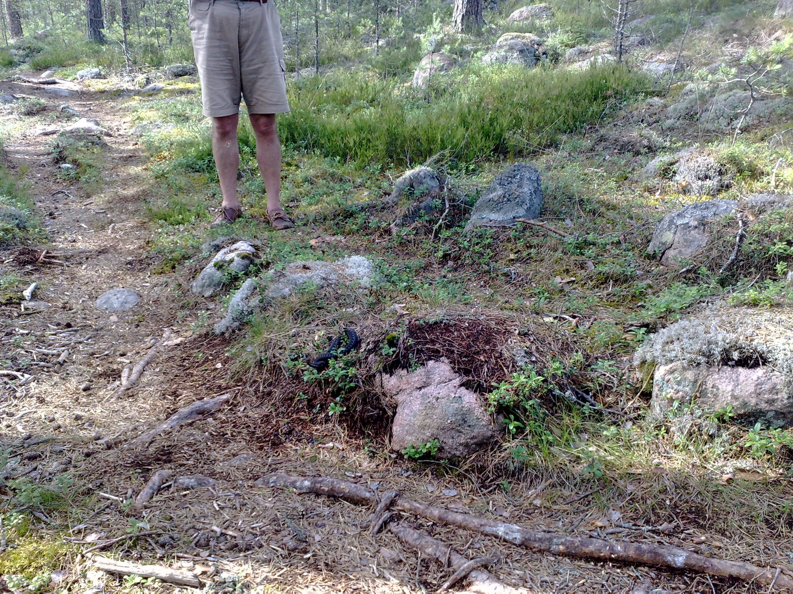 [08072009331.jpg]