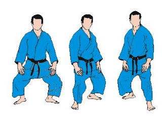 El Camino del Jiu Jitsu: Jigotai