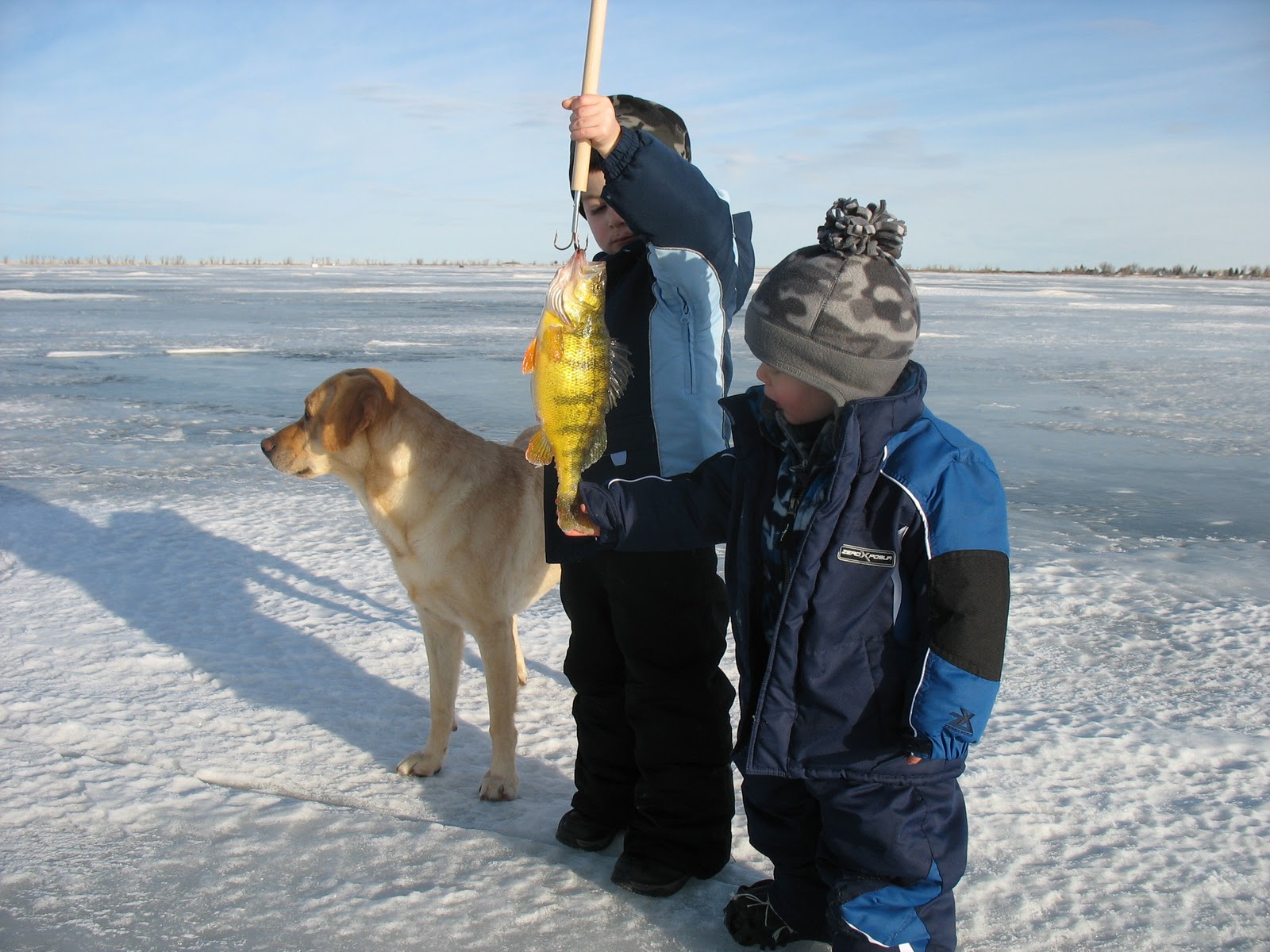 Life with the Houston's Monster Perch at Lake Francis!