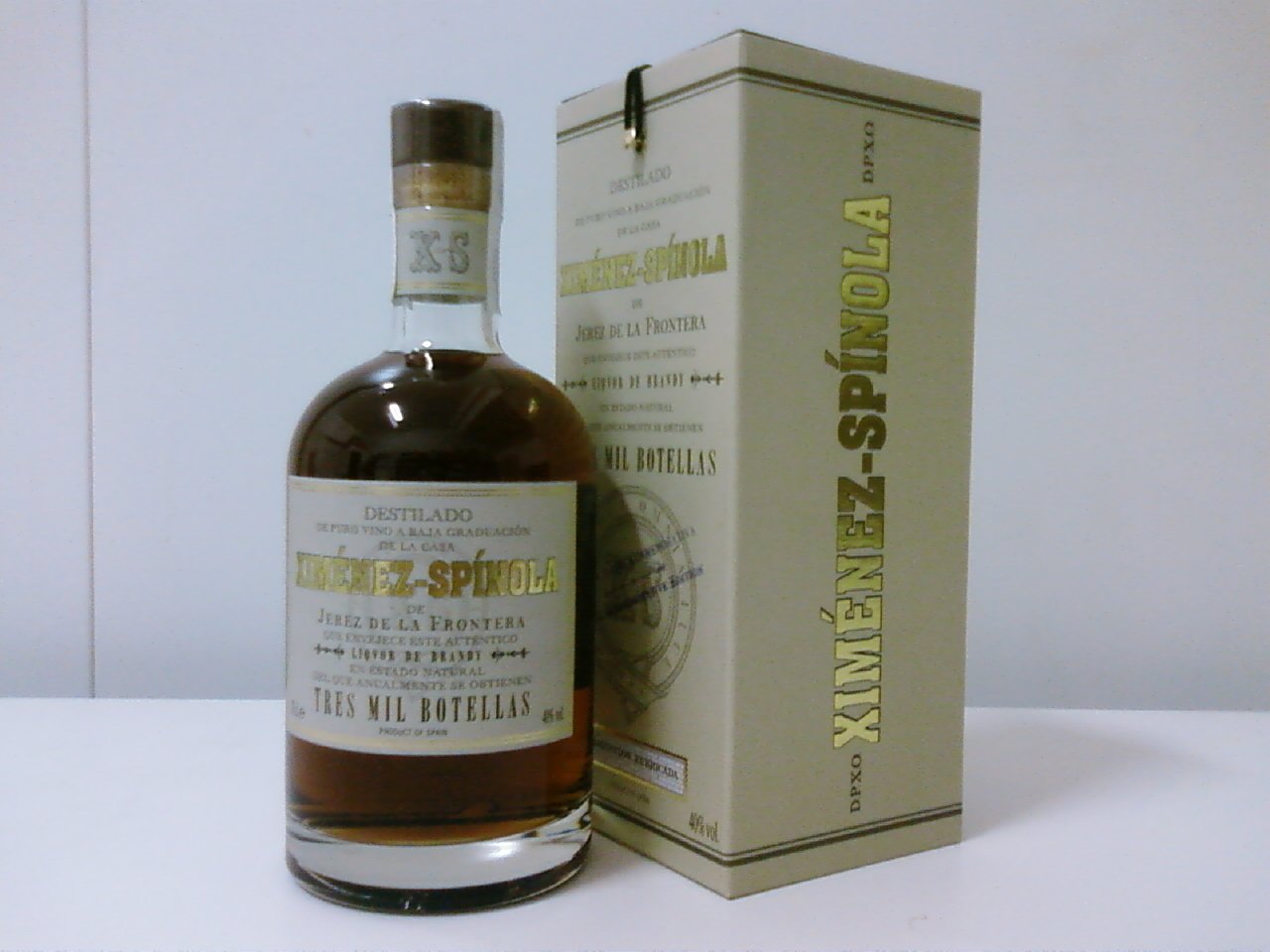 brandy+ximenez+spinola.jpg