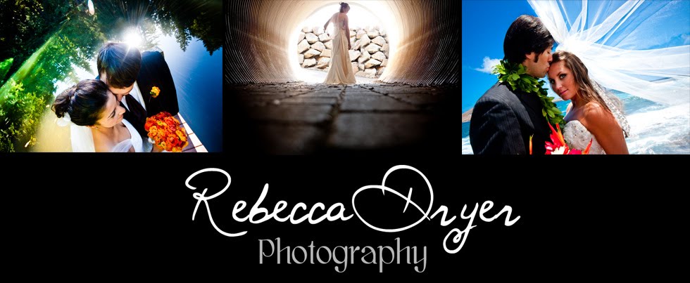 Rebecca Dryer Photography Blog