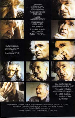 Liiceanu si cioran essay