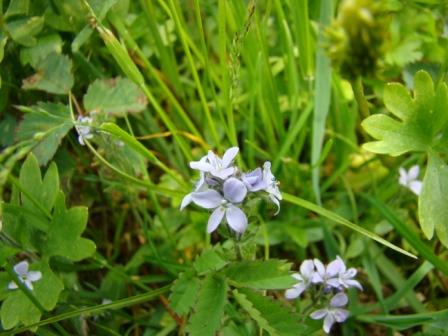 [7-9+Hatchers+Pass+(12).JPG]