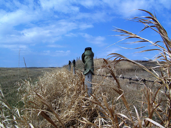 Who Took My Boots?????