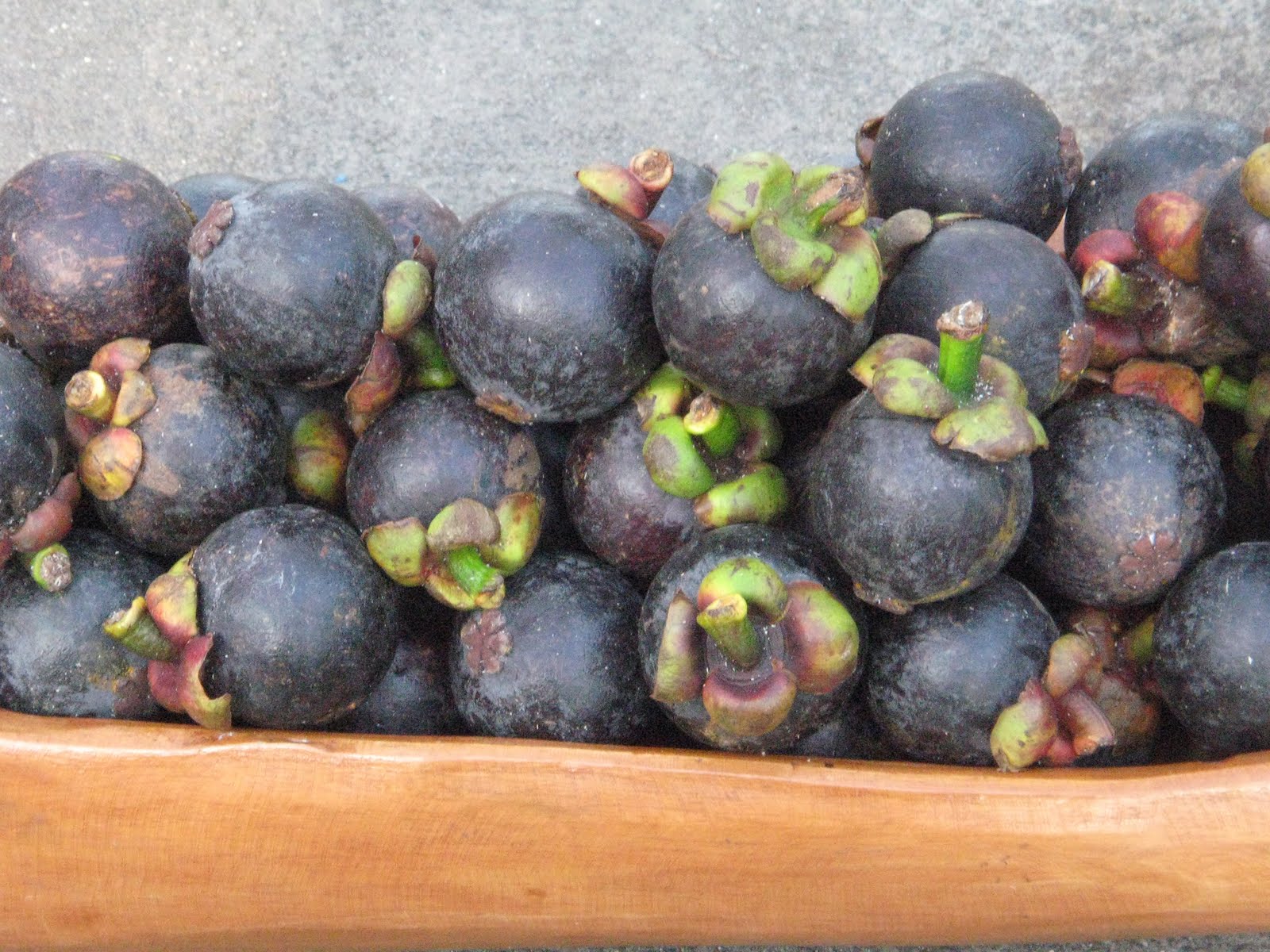 bucaio Mangosteen in Manila