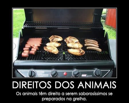 [direitos_animais_portugal_porreiro.bmp]