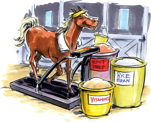 [ginasio_cavalar_portugal_porreiro.jpg]