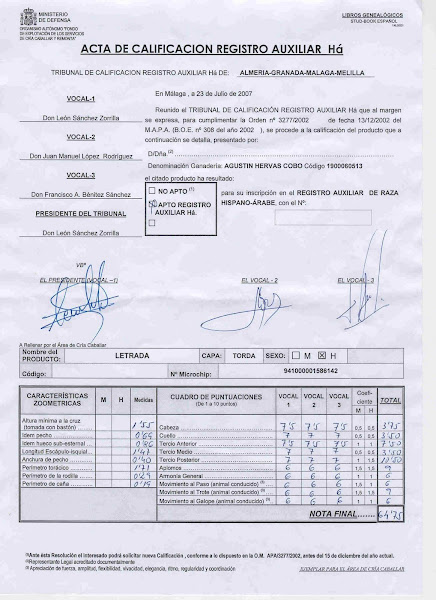 CALIFICACION DE LETRADA