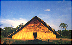 Arquitectura indígena