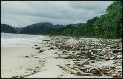 Kesan Pembuangan Plastik Terhadap Alam Sekitar - Master Ryuki: Kesan